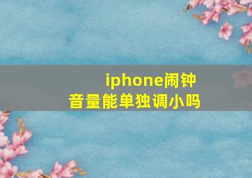 iphone闹钟音量能单独调小吗