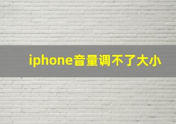 iphone音量调不了大小