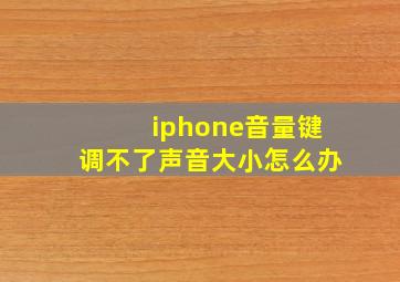 iphone音量键调不了声音大小怎么办