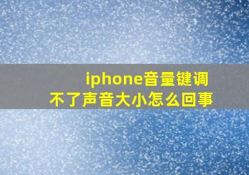 iphone音量键调不了声音大小怎么回事