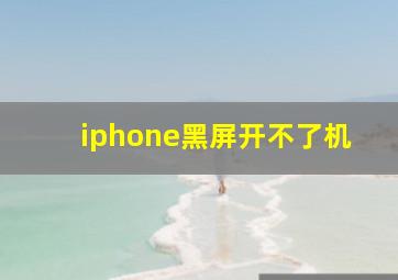 iphone黑屏开不了机