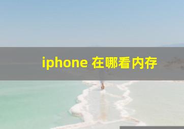 iphone 在哪看内存