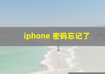 iphone 密码忘记了