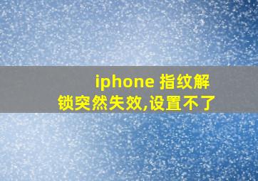 iphone 指纹解锁突然失效,设置不了