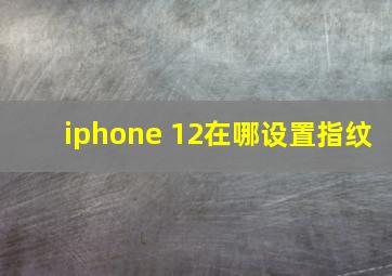 iphone 12在哪设置指纹