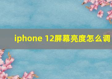 iphone 12屏幕亮度怎么调