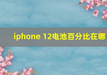 iphone 12电池百分比在哪