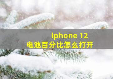 iphone 12电池百分比怎么打开