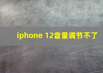 iphone 12音量调节不了