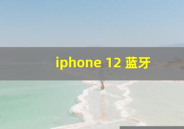 iphone 12 蓝牙