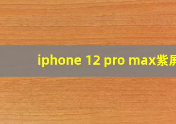 iphone 12 pro max紫屏