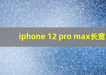 iphone 12 pro max长宽比