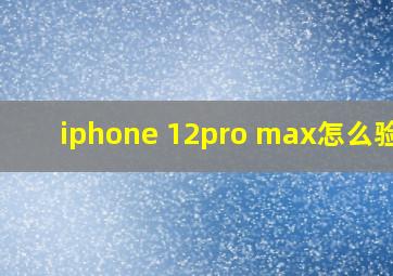 iphone 12pro max怎么验机