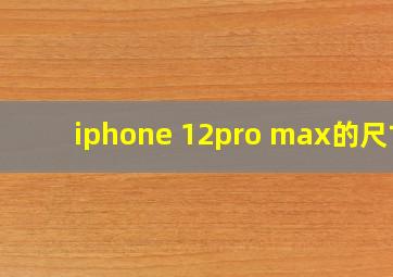 iphone 12pro max的尺寸