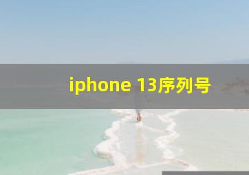 iphone 13序列号