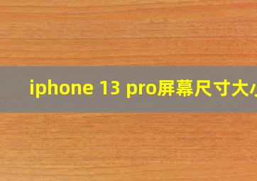 iphone 13 pro屏幕尺寸大小