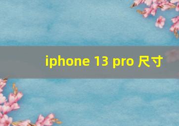 iphone 13 pro 尺寸