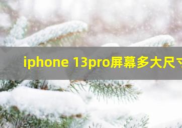 iphone 13pro屏幕多大尺寸