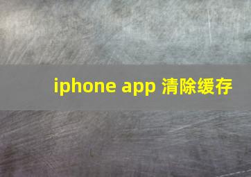 iphone app 清除缓存