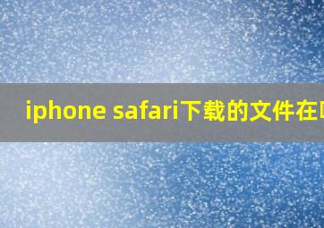 iphone safari下载的文件在哪