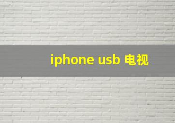 iphone usb 电视