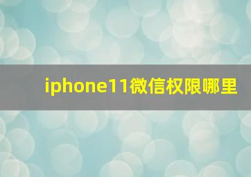 iphone11微信权限哪里