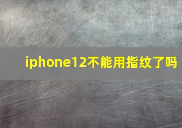 iphone12不能用指纹了吗