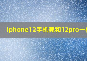 iphone12手机壳和12pro一样吗