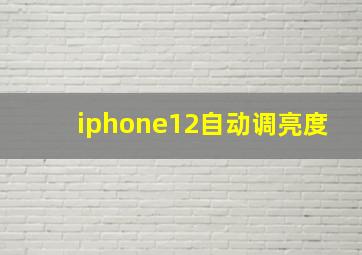 iphone12自动调亮度