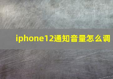 iphone12通知音量怎么调