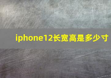 iphone12长宽高是多少寸