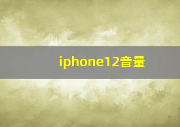 iphone12音量