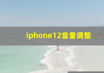 iphone12音量调整