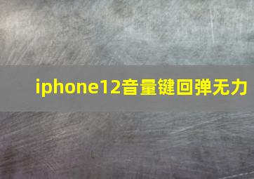 iphone12音量键回弹无力