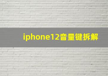 iphone12音量键拆解