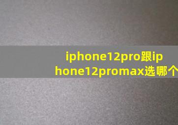 iphone12pro跟iphone12promax选哪个