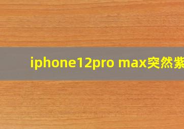 iphone12pro max突然紫屏