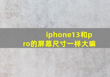 iphone13和pro的屏幕尺寸一样大嘛