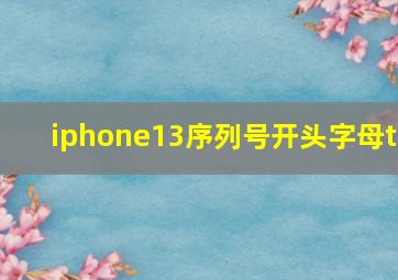 iphone13序列号开头字母t