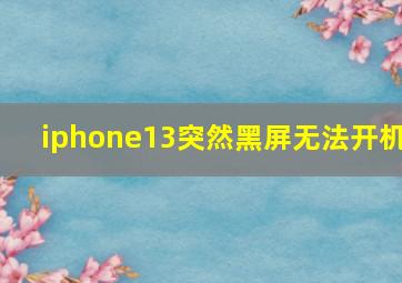 iphone13突然黑屏无法开机