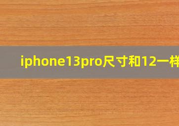 iphone13pro尺寸和12一样吗