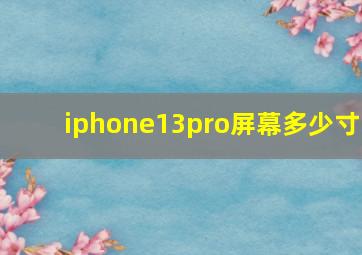 iphone13pro屏幕多少寸