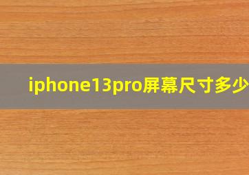 iphone13pro屏幕尺寸多少px