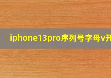 iphone13pro序列号字母v开头