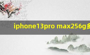 iphone13pro max256g多少钱