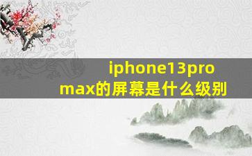 iphone13promax的屏幕是什么级别