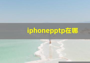 iphonepptp在哪