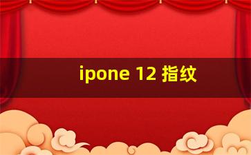 ipone 12 指纹