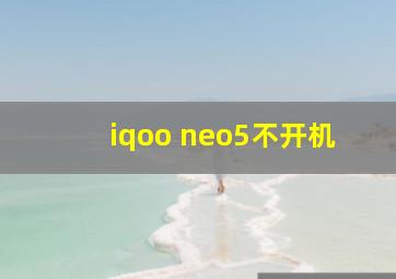 iqoo neo5不开机