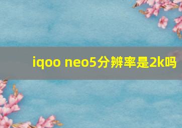 iqoo neo5分辨率是2k吗